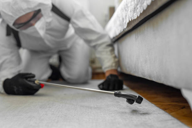 Professional Emergency Pest Control technician working in Raleigh Hills, OR